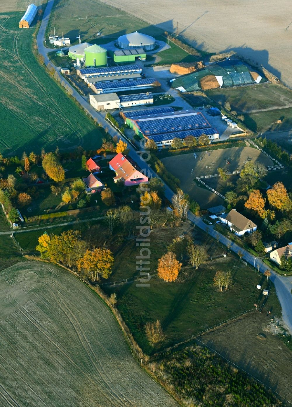 Luftbild Altentreptow - Reitstall - Reiterhof - Marstall und landwirtschaftliche Anlagen im herbstlichen Altentreptow im Bundesland Mecklenburg-Vorpommern, Deutschland