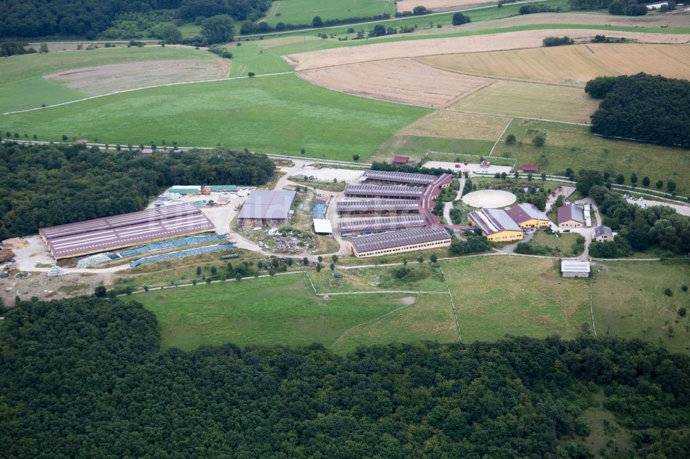 Luftaufnahme Einöllen - Reitstall - Reiterhof - Marstall Der Pferdestall - Saloon Hobstätterhof in Einöllen im Bundesland Rheinland-Pfalz