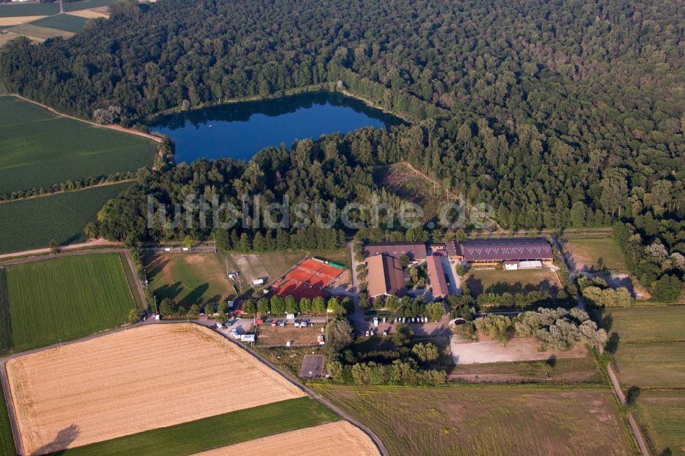 Lahr/Schwarzwald von oben - Reitstall - Reiterhof - Marstall des Reitverein Lahr e.V. im Ortsteil Kippenheimweiler in Lahr/Schwarzwald im Bundesland Baden-Württemberg, Deutschland