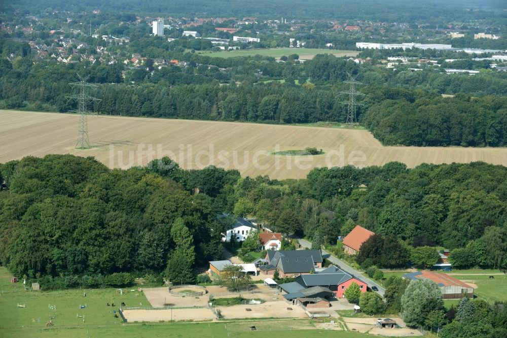 Luftbild Müssen - Reitstall - Reiterhof - Marstall an der Straße Louisenhof in Müssen im Bundesland Schleswig-Holstein