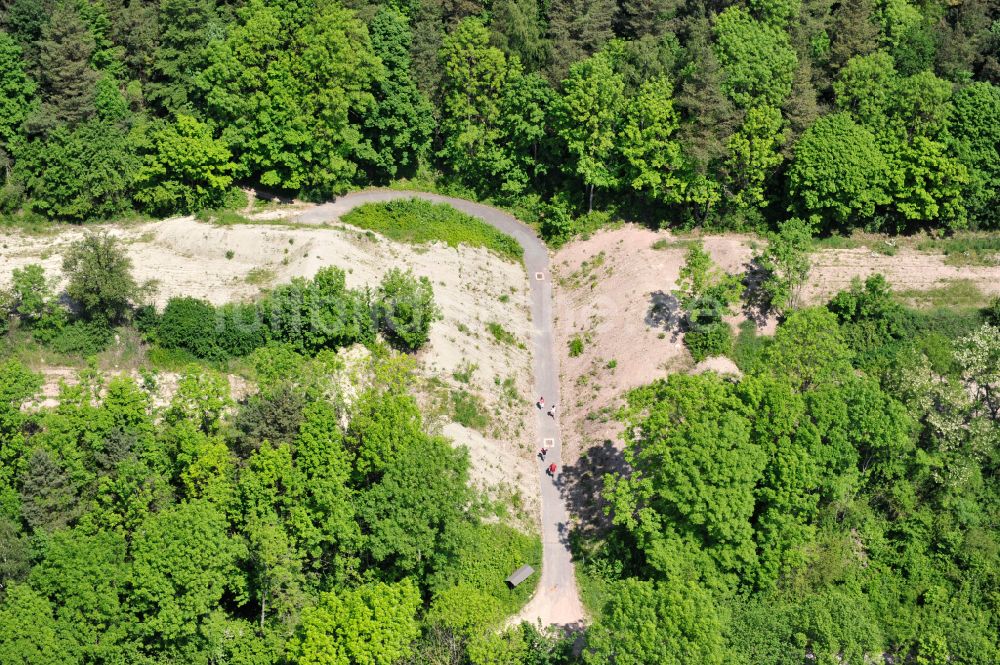 Wutha-Farnroda von oben - Renaturierung der Autobahn- Trasse der BAB A4 über die Hörselberge im Waldgebiet in Wutha-Farnroda im Bundesland Thüringen, Deutschland