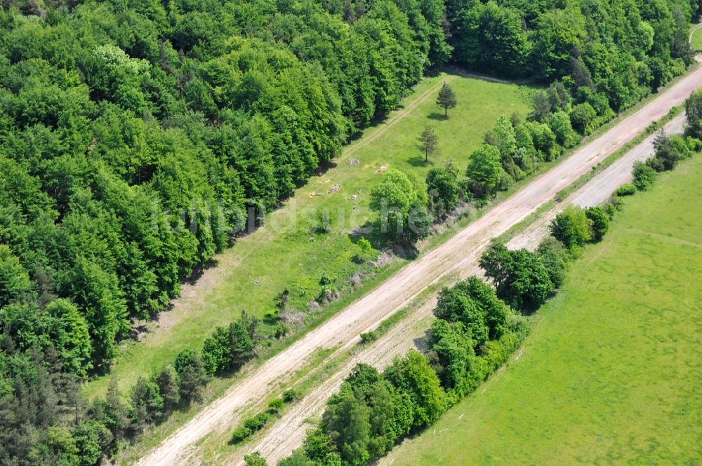 Luftaufnahme Wutha-Farnroda - Renaturierung der Autobahn- Trasse der BAB A4 über die Hörselberge im Waldgebiet in Wutha-Farnroda im Bundesland Thüringen, Deutschland