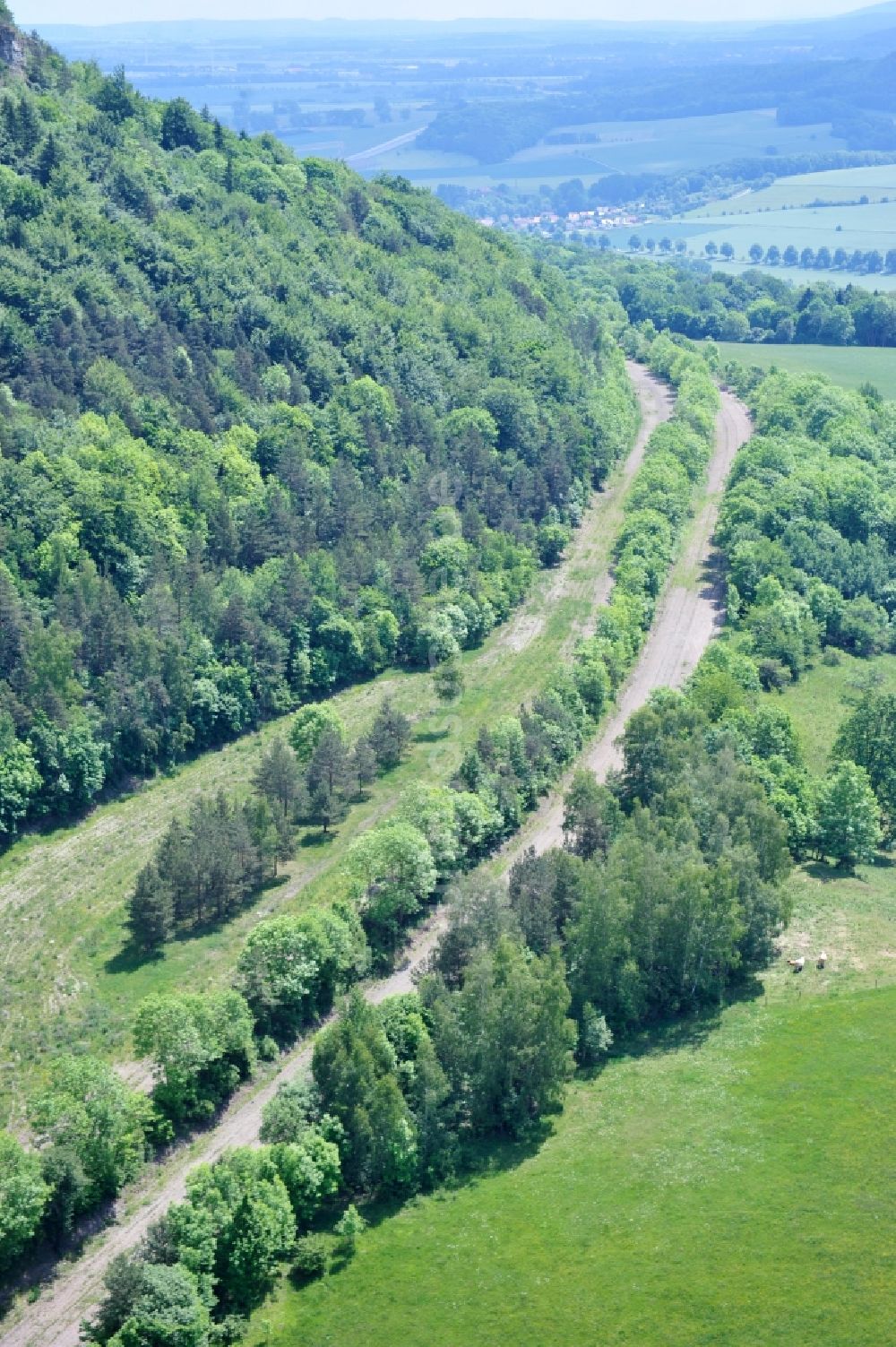 Wutha-Farnroda aus der Vogelperspektive: Renaturierung der Autobahn- Trasse der BAB A4 über die Hörselberge im Waldgebiet in Wutha-Farnroda im Bundesland Thüringen, Deutschland