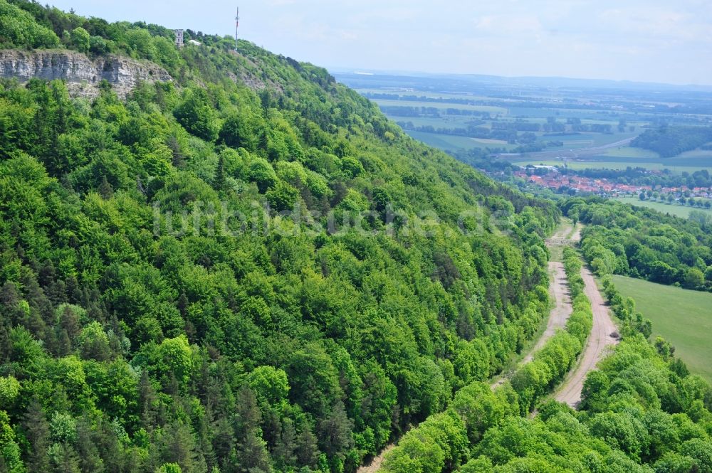 Luftbild Wutha-Farnroda - Renaturierung der Autobahn- Trasse der BAB A4 über die Hörselberge im Waldgebiet in Wutha-Farnroda im Bundesland Thüringen, Deutschland