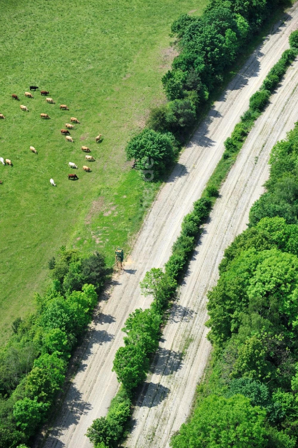 Wutha-Farnroda aus der Vogelperspektive: Renaturierung der Autobahn- Trasse der BAB A4 über die Hörselberge im Waldgebiet in Wutha-Farnroda im Bundesland Thüringen, Deutschland