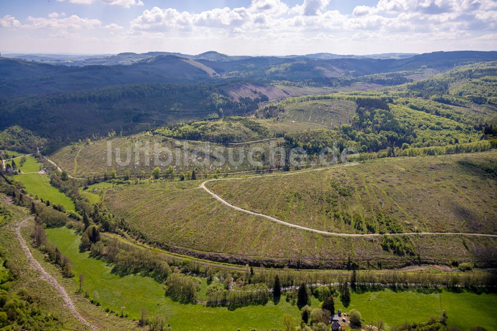 Brilon von oben - Renaturierung durch Aufforstung von Jungbaumen im Waldgelande in Brilon im Bundesland Nordrhein-Westfalen, Deutschland