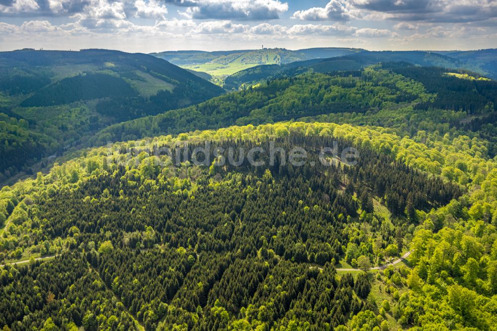 Luftaufnahme Brilon-Wald - Renaturierung durch Aufforstung von Jungbaumen im Waldgelande in Brilon-Wald im Bundesland Nordrhein-Westfalen, Deutschland