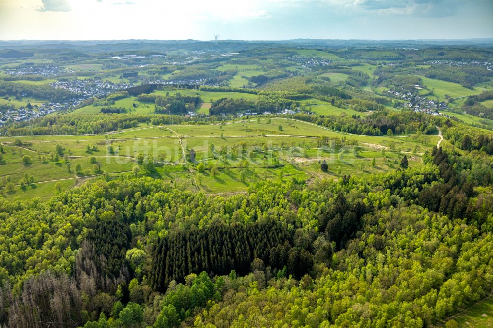 Langenholdinghausen aus der Vogelperspektive: Renaturierung durch Aufforstung von Jungbäumen im Waldgelände in Langenholdinghausen im Bundesland Nordrhein-Westfalen, Deutschland