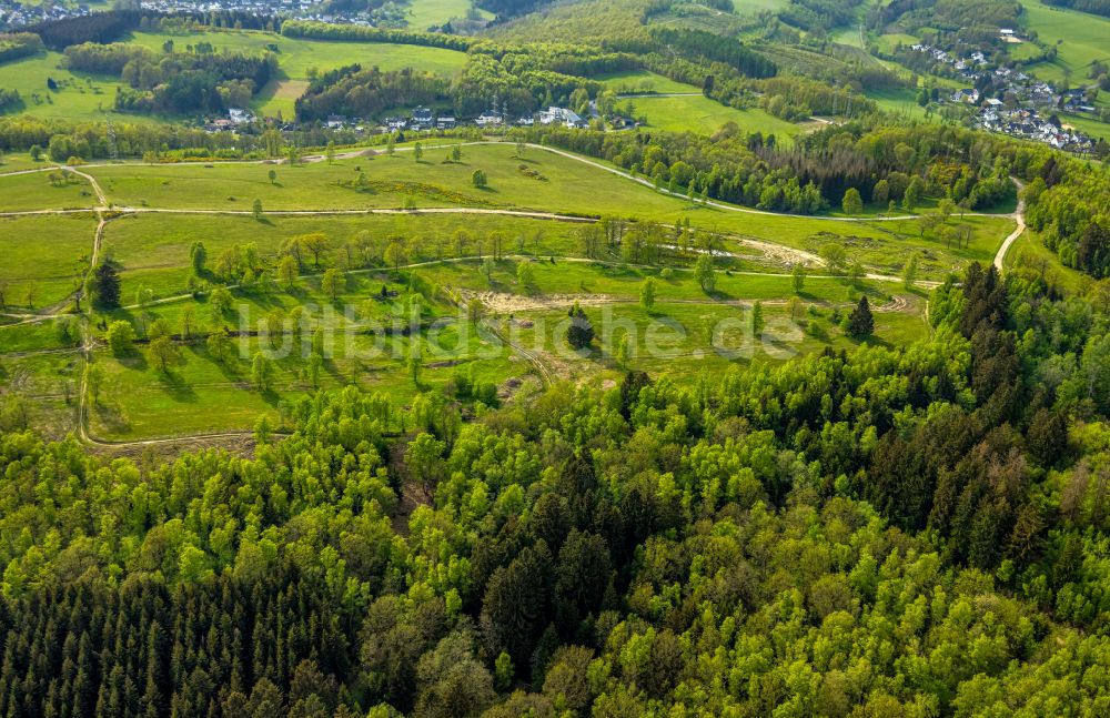 Luftbild Langenholdinghausen - Renaturierung durch Aufforstung von Jungbäumen im Waldgelände in Langenholdinghausen im Bundesland Nordrhein-Westfalen, Deutschland