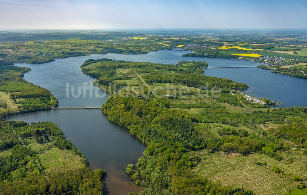 Luftbild Möhnesee - Renaturierung durch Aufforstung von Jungbäumen im Waldgelände in Möhnesee im Bundesland Nordrhein-Westfalen, Deutschland