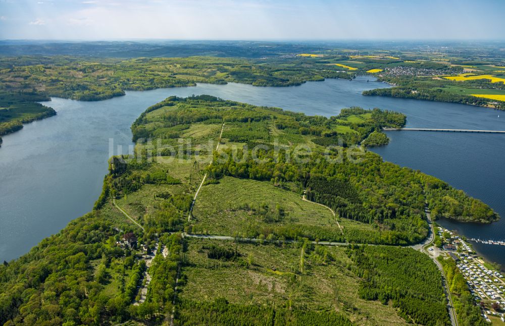 Luftaufnahme Möhnesee - Renaturierung durch Aufforstung von Jungbäumen im Waldgelände in Möhnesee im Bundesland Nordrhein-Westfalen, Deutschland