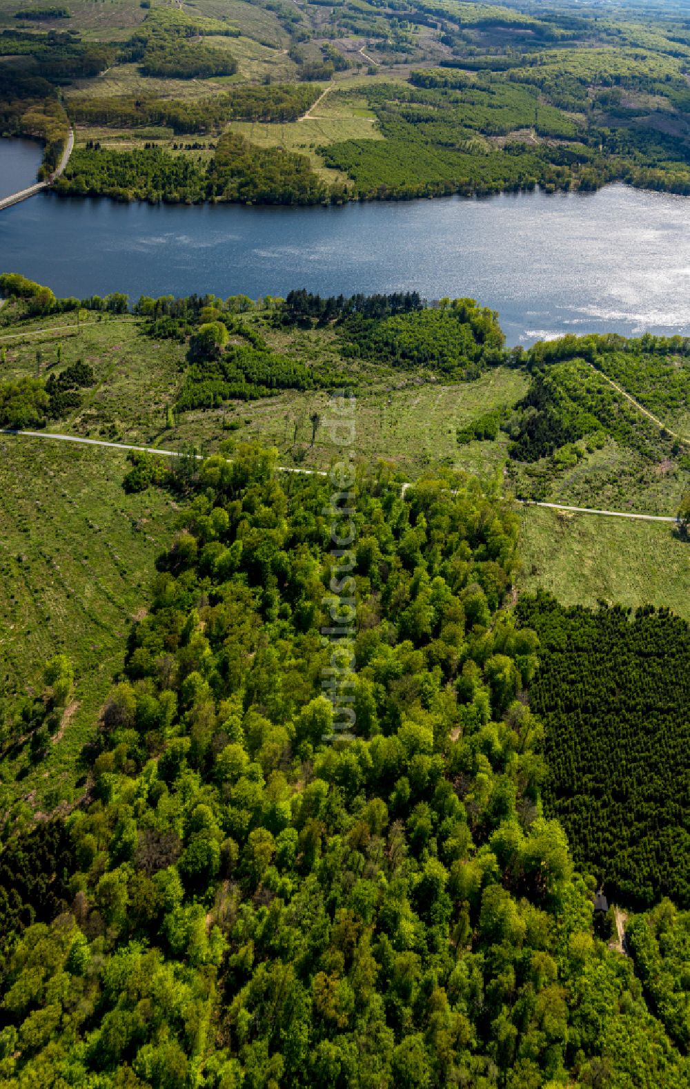 Luftaufnahme Möhnesee - Renaturierung durch Aufforstung von Jungbäumen im Waldgelände in Möhnesee im Bundesland Nordrhein-Westfalen, Deutschland