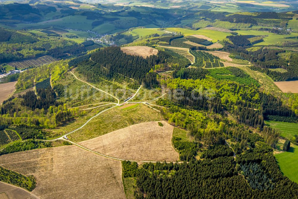 Luftaufnahme Schmallenberg - Renaturierung durch Aufforstung von Jungbäumen im Waldgelände in Schmallenberg im Bundesland Nordrhein-Westfalen, Deutschland