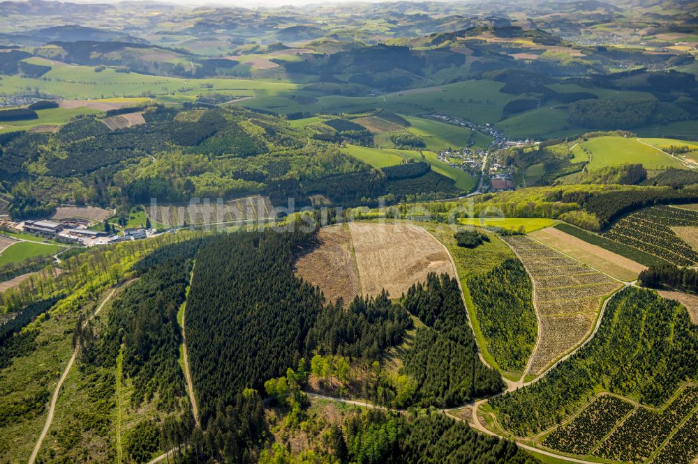 Schmallenberg von oben - Renaturierung durch Aufforstung von Jungbäumen im Waldgelände in Schmallenberg im Bundesland Nordrhein-Westfalen, Deutschland