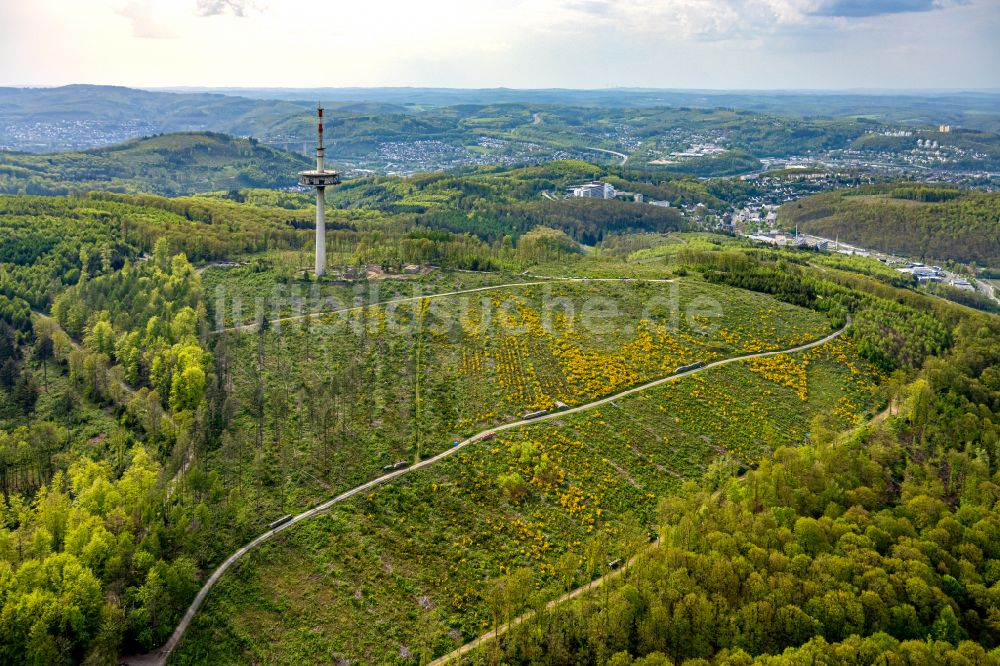 Luftaufnahme Siegen - Renaturierung durch Aufforstung von Jungbäumen im Waldgelände in Siegen im Bundesland Nordrhein-Westfalen, Deutschland