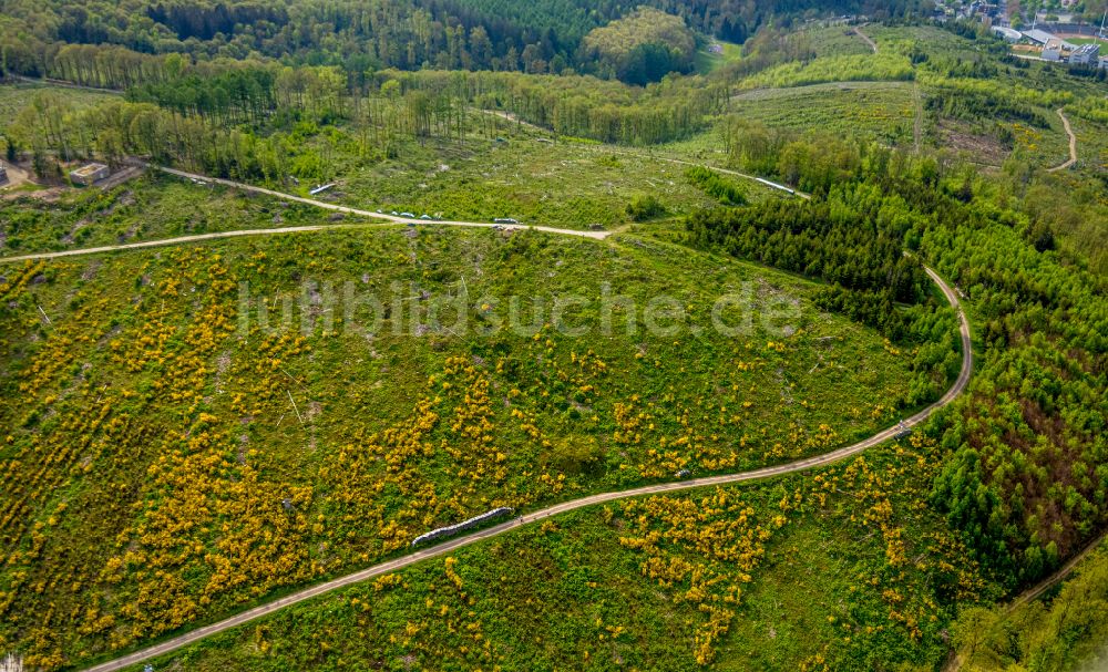 Siegen von oben - Renaturierung durch Aufforstung von Jungbäumen im Waldgelände in Siegen im Bundesland Nordrhein-Westfalen, Deutschland