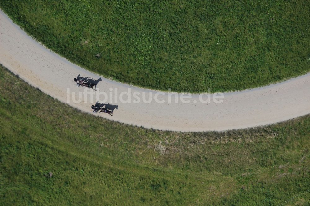 Luftbild Horstfelde - Rennstrecke der Rennbahn - Trabrennbahn in Horstfelde im Bundesland Brandenburg