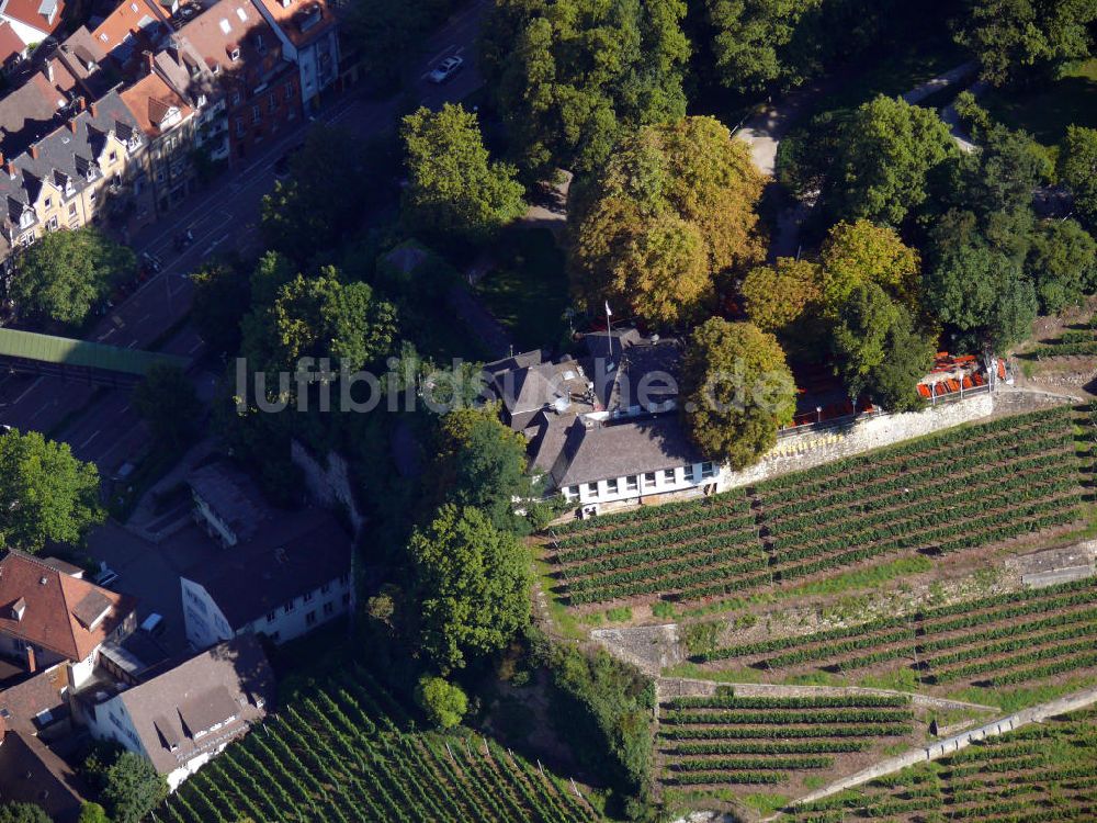 Freiburg im Breisgau aus der Vogelperspektive: Restaurant Greiffenegg Schlössle am Schloßbergring in Freiburg, Baden-Württemberg