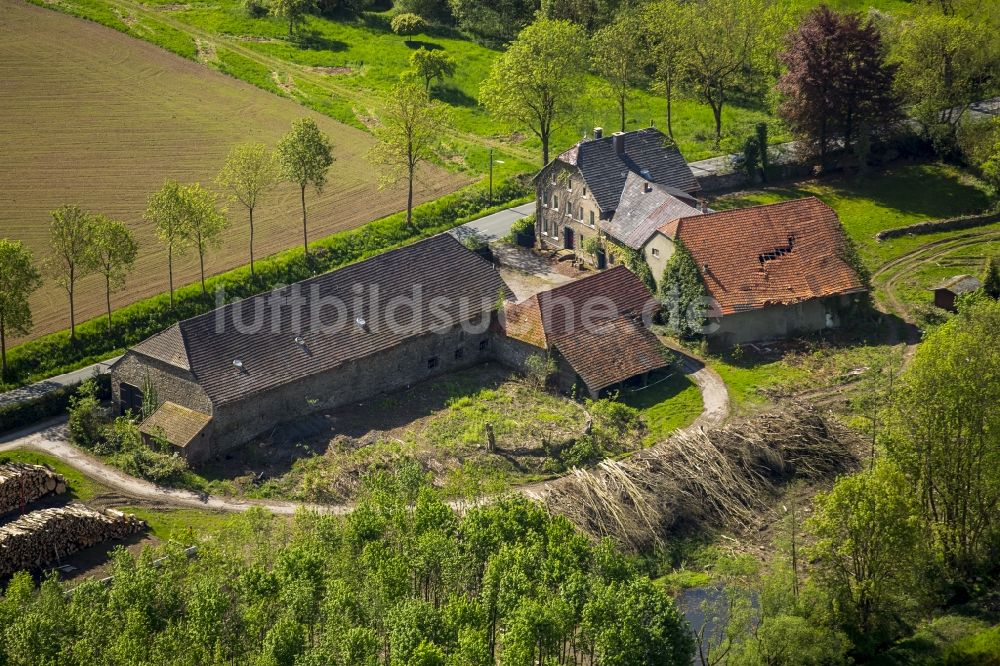 Luftaufnahme Arnsberg - Reste der Ruine eines verfallenden Bauernhofes in Arnsberg im Bundesland Nordrhein-Westfalen