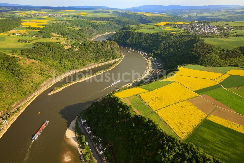 Luftbild Biebernheim - Rhein bei Biebernheim im Bundesland Rheinland-Pfalz