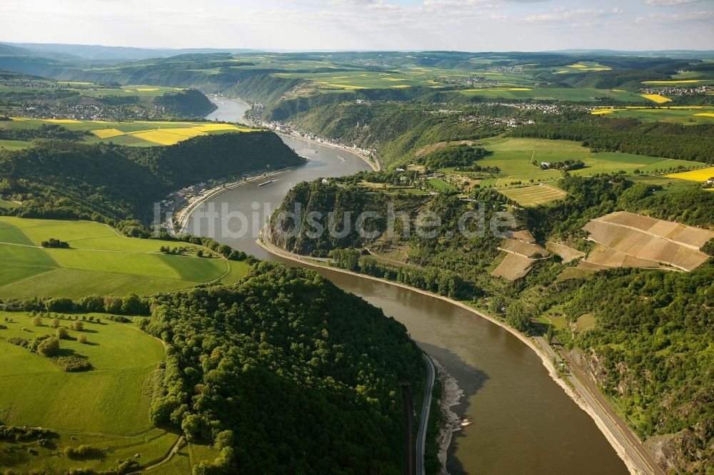 Luftbild Urbar - Rhein bei Urbar im Bundesland Rheinland-Pfalz