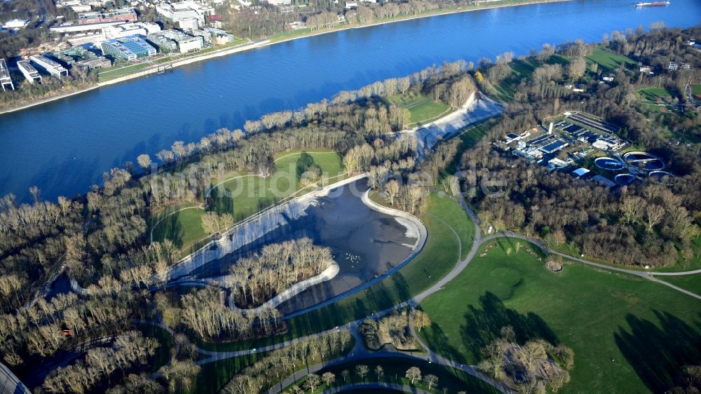 Luftbild Bonn - Rheinaue in Bonn im Bundesland Nordrhein-Westfalen, Deutschland