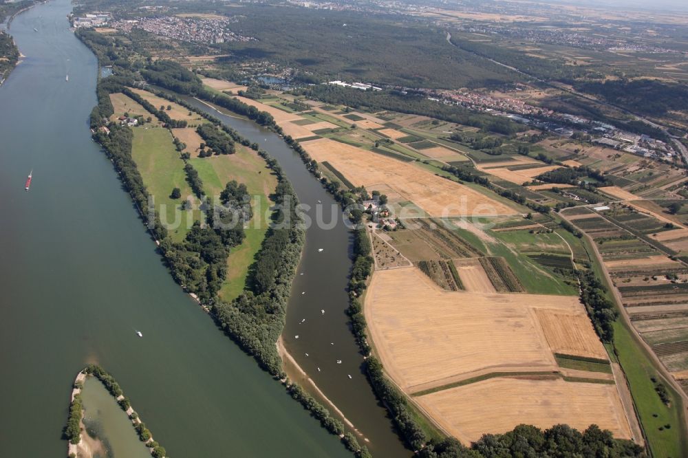 Luftbild Heidesheim am Rhein - Rheininsel bei Heidesheim am Rhein im Bundesland Rheinland-Pfalz