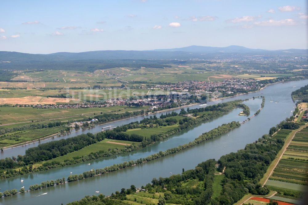 Luftbild Eltville am Rhein - Rheininsel Mariannenaue und Landschaft des Rheingau in Eltville am Rhein im Bundesland Hessen