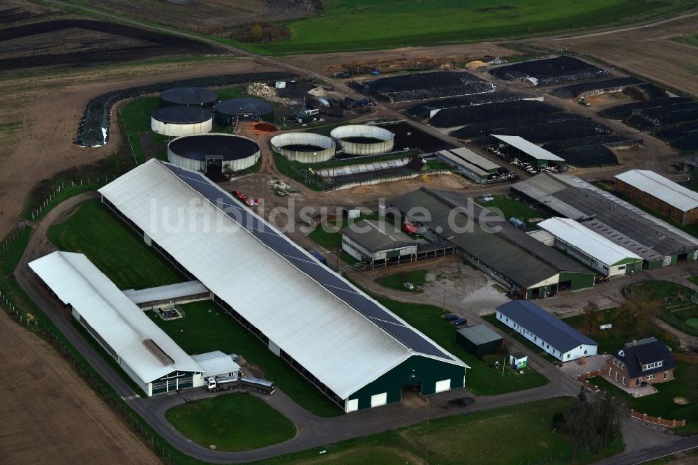 Neuensund Strasburg (Uckermark) von oben - Rinderzucht- Stallanlagen im Ortsteil Neuensund in Strasburg (Uckermark) im Bundesland Mecklenburg-Vorpommern