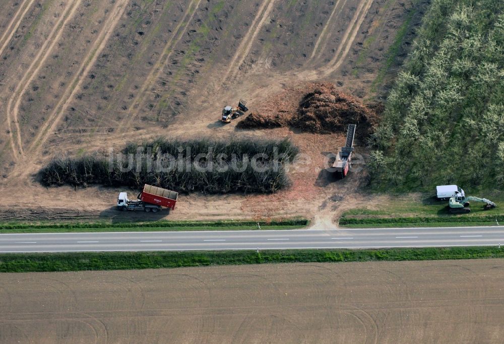 Luftbild Witterda - Rodung und Verschnitt von Obstbäume auf einem Feld bei Witterda im Bundesland Thüringen