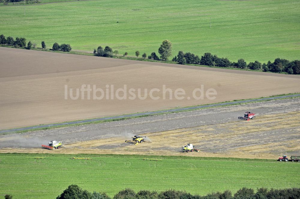 Beesenstedt aus der Vogelperspektive: Roggenernte Halle