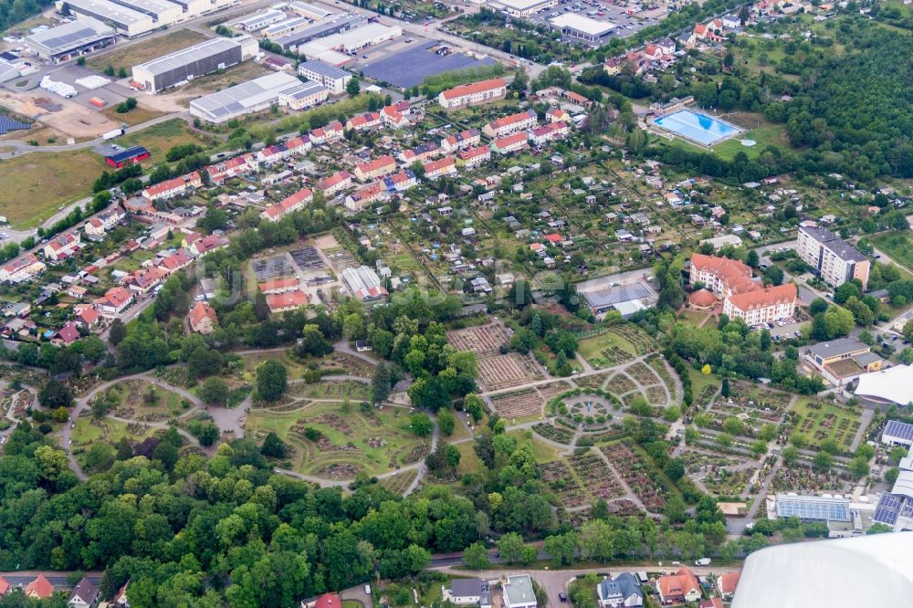 Sangerhausen von oben - Rosengarten Europa Rosarium in Sangerhausen im Bundesland Sachsen-Anhalt, Deutschland