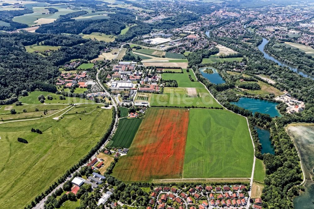 Landshut von oben - Rot- grünes Mohnblumenfeld am Stadtrand von Landshut im Bundesland Bayern