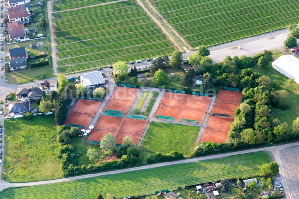 Lampertheim von oben - Rotbraun farbiger Tennisplatz des Tennisclub Rot-Weiss in Lampertheim im Bundesland Hessen, Deutschland