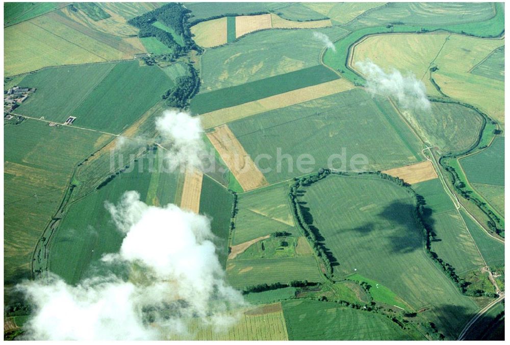 Wolmirstedt aus der Vogelperspektive: Rothensee Landwirtschaft