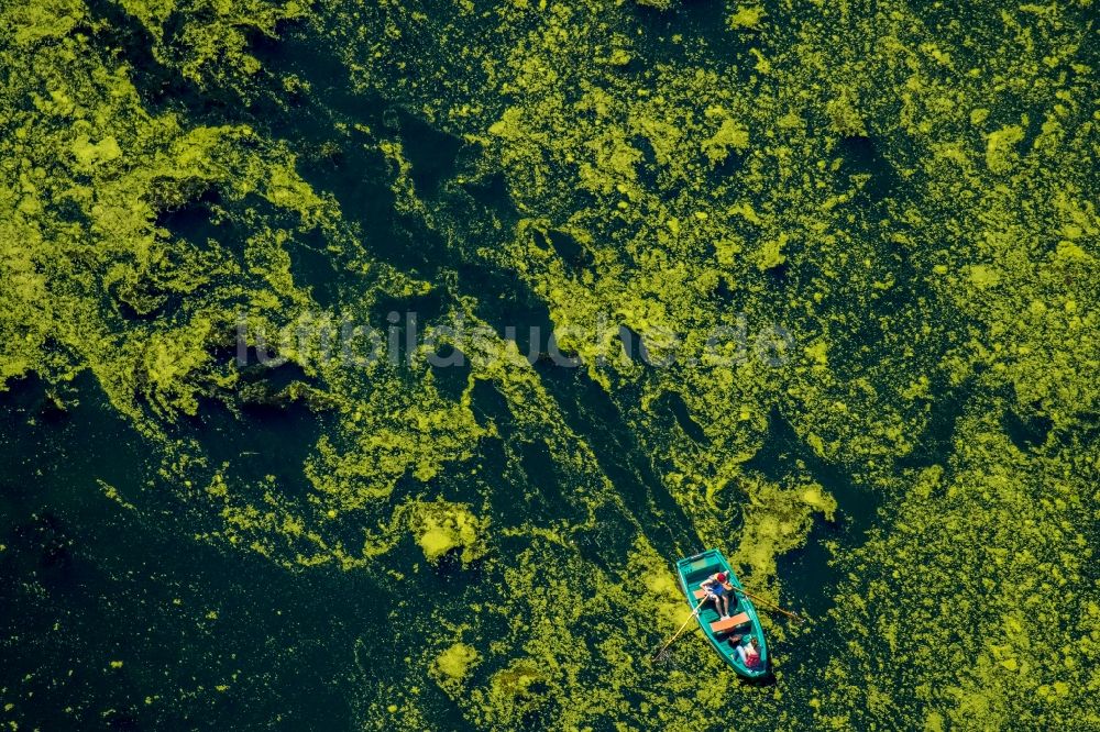 Witten aus der Vogelperspektive: Ruderboot in Fahrt auf dem Ölbach See in Witten im Bundesland Nordrhein-Westfalen