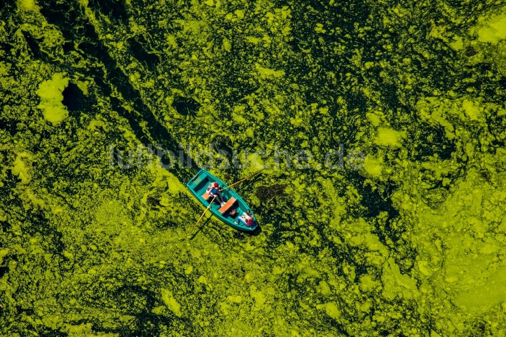 Luftaufnahme Witten - Ruderboot in Fahrt auf dem Ölbach See in Witten im Bundesland Nordrhein-Westfalen