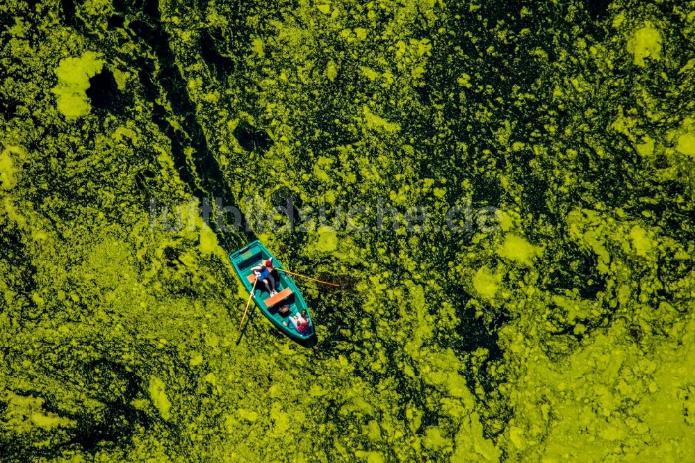 Witten von oben - Ruderboot in Fahrt auf dem Ölbach See in Witten im Bundesland Nordrhein-Westfalen