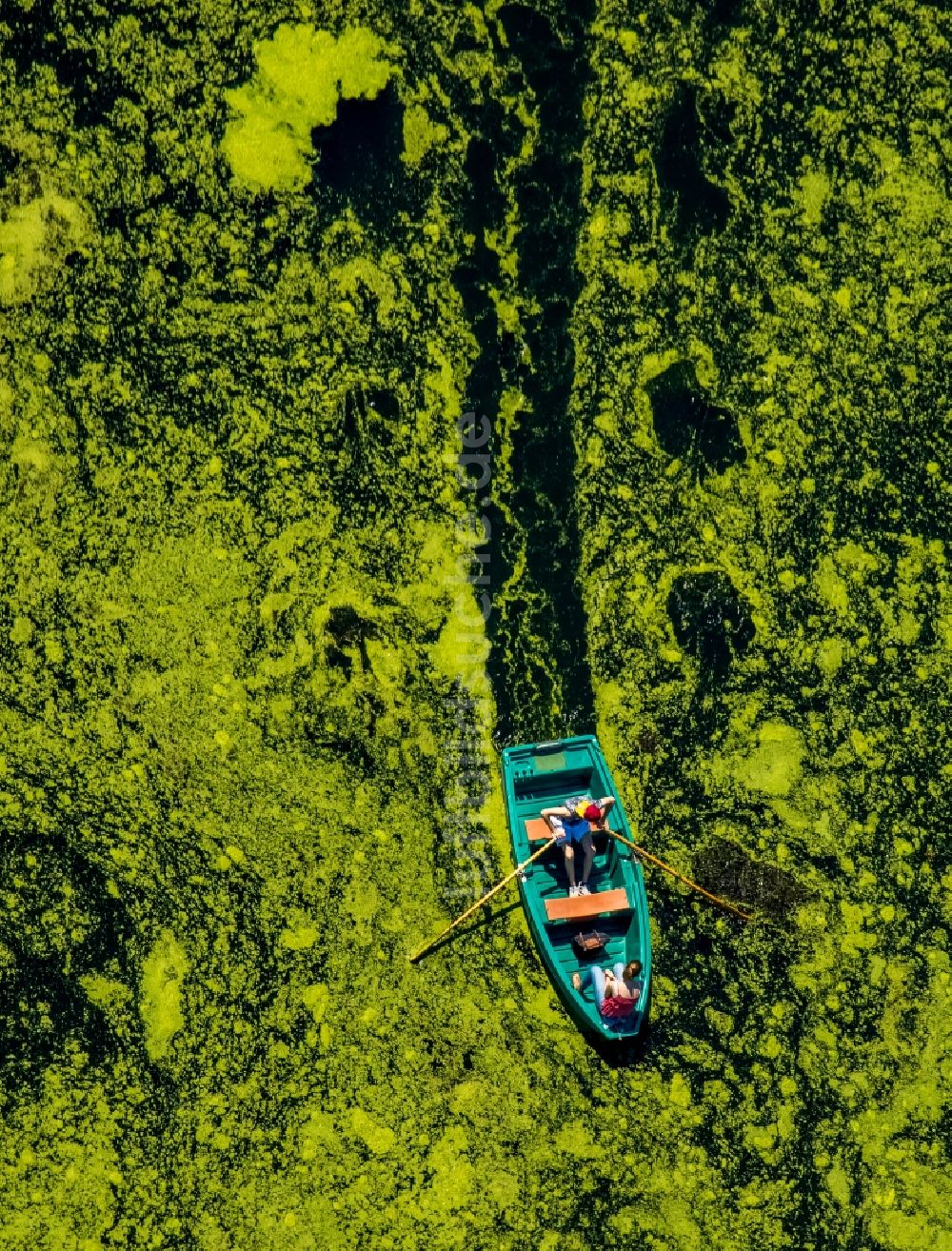 Witten aus der Vogelperspektive: Ruderboot in Fahrt auf dem Ölbach See in Witten im Bundesland Nordrhein-Westfalen