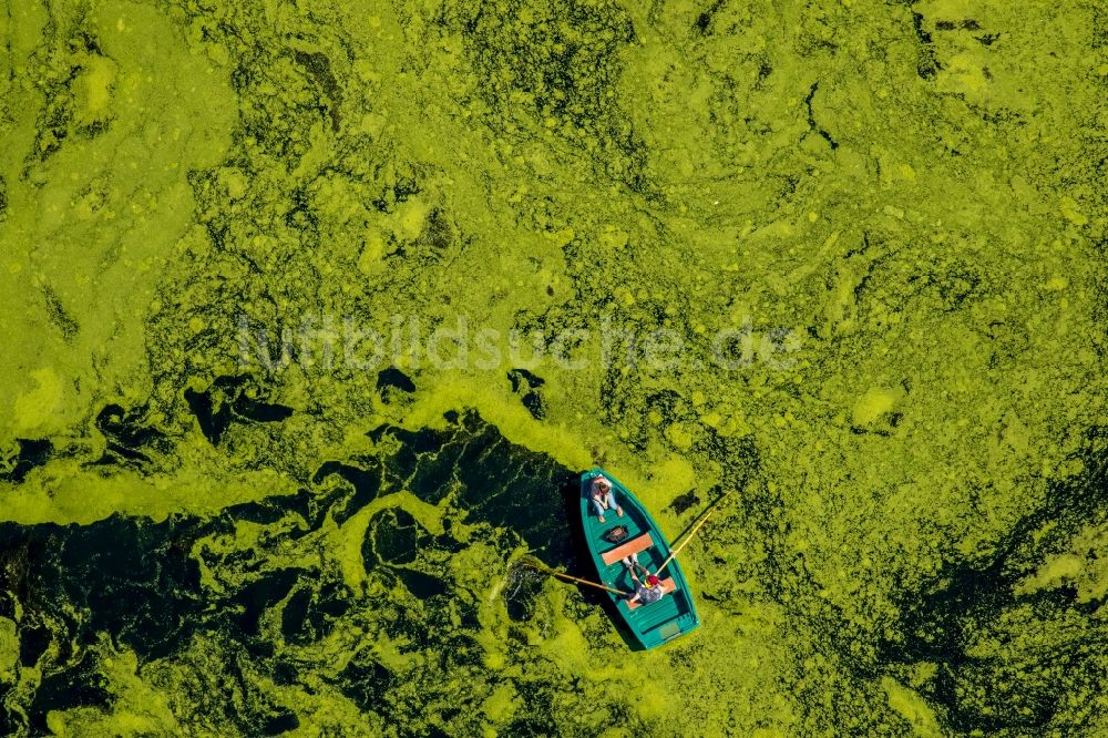 Witten von oben - Ruderboot in Fahrt auf dem Ölbach See in Witten im Bundesland Nordrhein-Westfalen