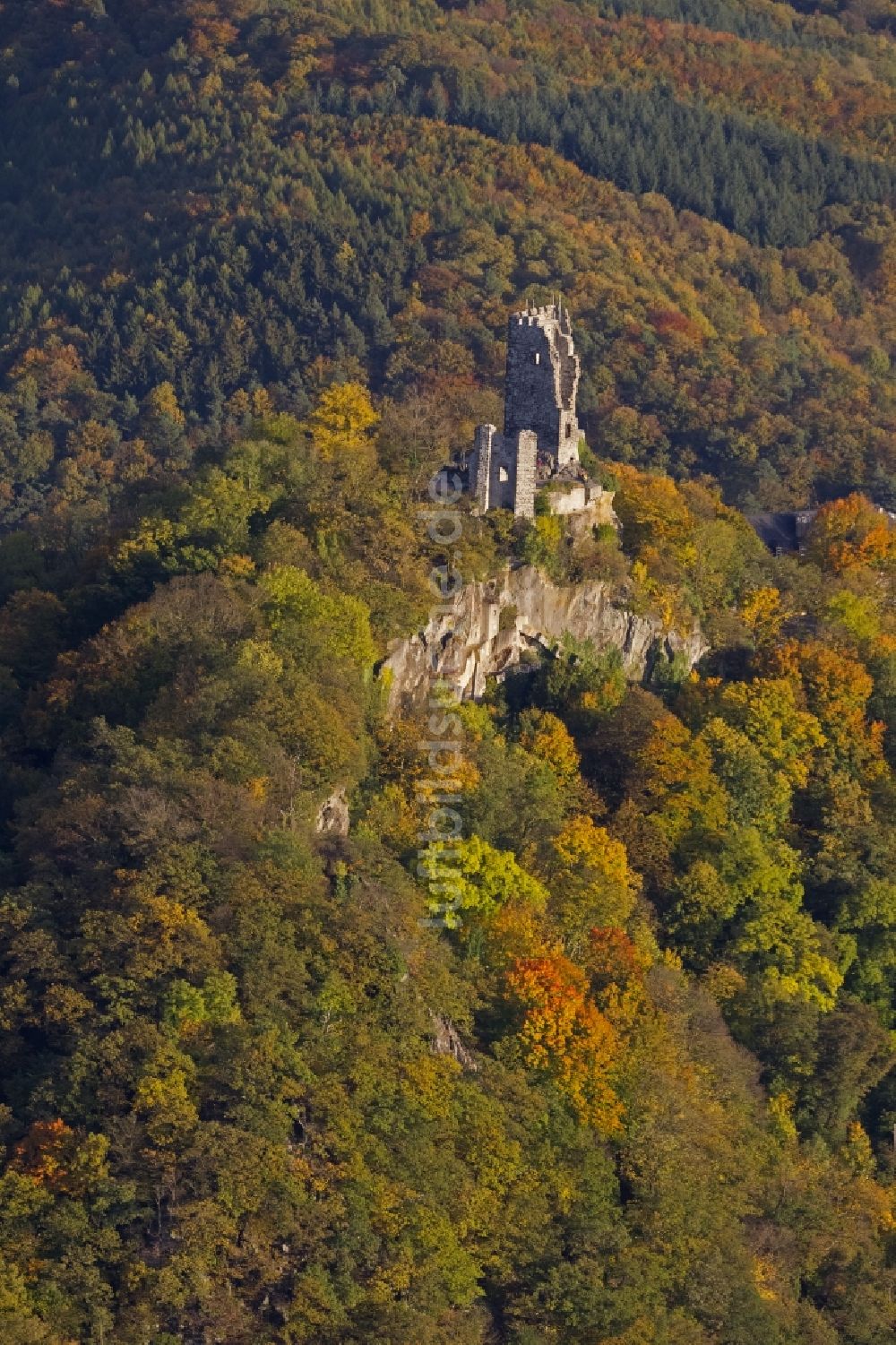 Königswinter von oben - Ruine der Burg Drachenfels im herbstlich gefärbten Wald am Rheinufer in Königswinter im Bundesland Nordrhein-Westfalen