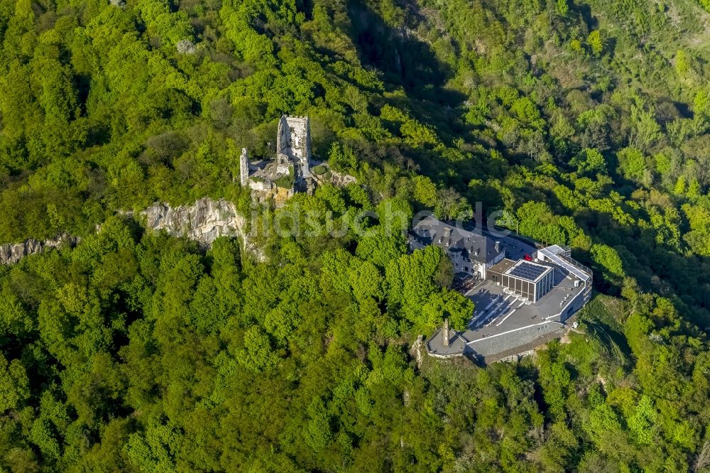 Königswinter von oben - Ruine der Burg Drachenfels im herbstlich gefärbten Wald am Rheinufer in Königswinter im Bundesland Nordrhein-Westfalen