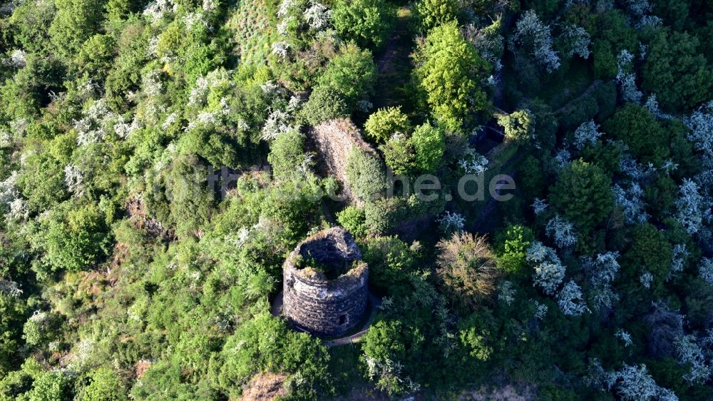 Luftaufnahme Hammerstein - Ruine der Burg Hammerstein in Hammerstein im Bundesland Rheinland-Pfalz, Deutschland