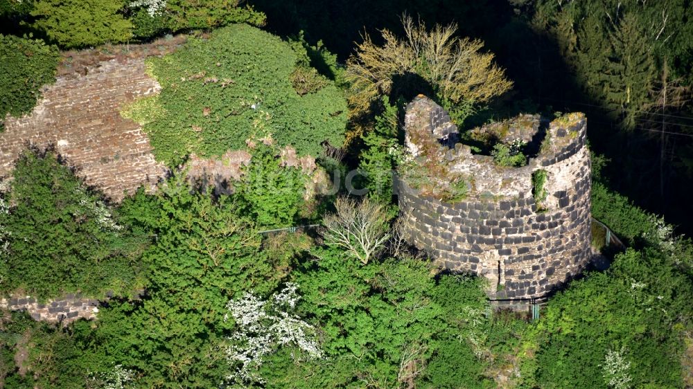 Luftbild Hammerstein - Ruine der Burg Hammerstein in Hammerstein im Bundesland Rheinland-Pfalz, Deutschland