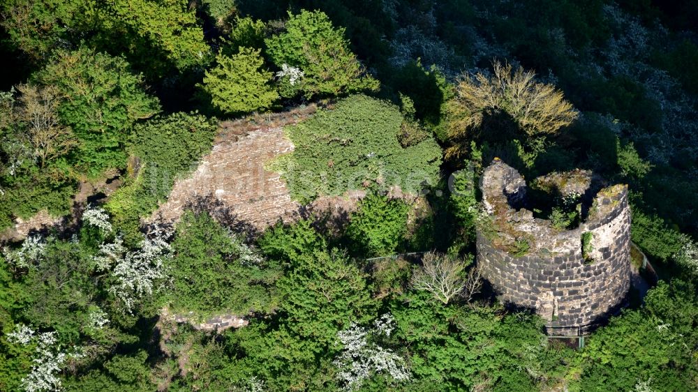 Luftaufnahme Hammerstein - Ruine der Burg Hammerstein in Hammerstein im Bundesland Rheinland-Pfalz, Deutschland