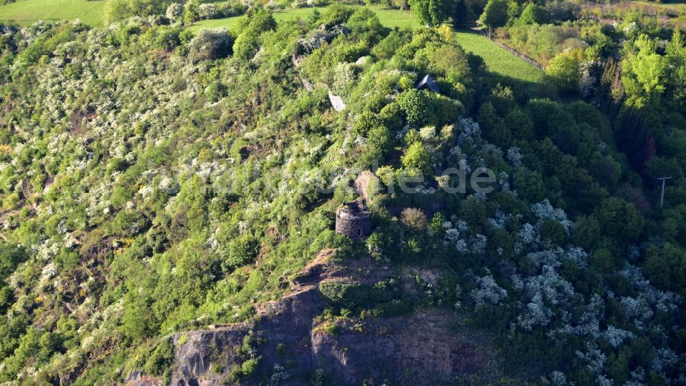 Hammerstein aus der Vogelperspektive: Ruine der Burg Hammerstein in Hammerstein im Bundesland Rheinland-Pfalz, Deutschland