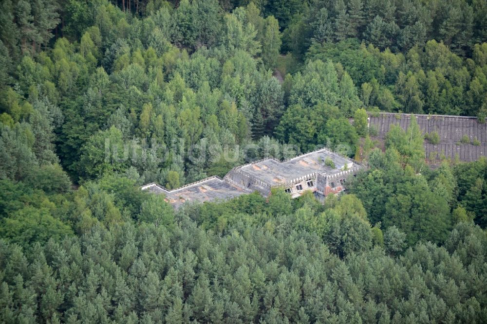 Templin von oben - Ruine des ehemaligen Hotel - Gebäudes im Waldstück des Forst Buchheide in Templin im Bundesland Brandenburg