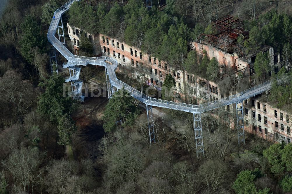 Beelitz aus der Vogelperspektive: Ruine des ehemaligen Klinik- und Krankenhaus - Gebäudes mit dem Baum & Zeit Baumkronenpfad in Beelitz im Bundesland Brandenburg