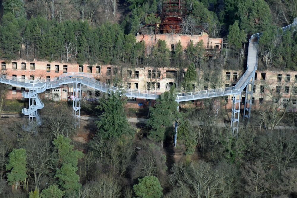 Beelitz aus der Vogelperspektive: Ruine des ehemaligen Klinik- und Krankenhaus - Gebäudes mit dem Baum & Zeit Baumkronenpfad in Beelitz im Bundesland Brandenburg