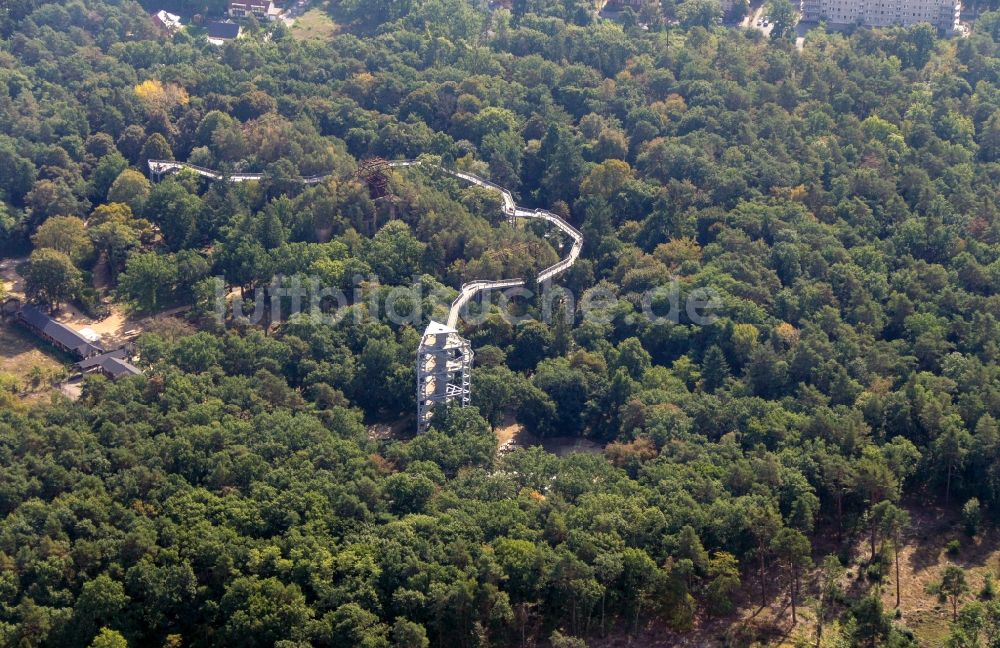 Beelitz von oben - Ruine des ehemaligen Klinik- und Krankenhaus - Gebäudes mit dem Baum & Zeit Baumkronenpfad in Beelitz im Bundesland Brandenburg